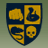 A pixelated crest with four quadrants showing a brain, flask, snake, and skull, next to the word 'BULLY' and a yellow square with an 'R' and star.