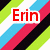 four with diagonal striped backgrounds in green, white, cyan, pink, and black; top-left shows red text 'Erin', top-right shows partial green text 'lizabef', bottom-left has a blue equals sign icon