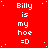Red background with white pixelated text repeating 'Billy is my hoe =D' in a pattern, some characters have slight variations