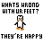 Pixel art penguin with brown feet and white belly, standing under text reading WHATS WRONG WITH UR FEET? THEY'RE HAPPY.