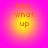 Four circular icons arranged in a , each displaying 'hey what up' text on a gradient background transitioning from yellow to pink