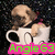 A small dog sits inside a white cup with black handles, positioned against a dark speckled background, with green text reading "Angie G3" on a pink banner below.