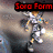 Two side-by-side pixelated images of a character in silver armor with red text above reading 'Sora Form' and 'Sora Forms', showing different poses against blurred backgrounds.