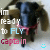 Animated icon shows a dog with text 'in ready to FLY' and 'capt in', featuring two distinct smiley face expressions.