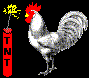 Animated sequence showing a rooster interacting with TNT sticks and explosions, transitioning from standing to head-down to explosion states.