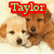 Two puppies on a light background with changing text overlays in red and green.