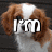 A four- shows a brown and white dog with text overlays: 'I'm', 'so', and 'cute!' , against a dark background