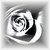 A grayscale spiral pattern with alternating light and dark bands forming a circular motion effect, enclosed within a square frame.