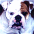 A pixelated contact sheet showing two frames of an animated icon featuring a bulldog mascot and green text logo on dark background.