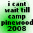 Green gradient background with black pixelated text reading "i cant wait till camp pinewood 2008" in four identical arranged in a