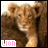 Animated sequence of a lion cub's face with subtle expression shifts, each frame showing the same animal against a blurred brown background.