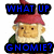 Pixelated gnome with red hat and green clothing, blue text reading WHAT UP GNOMIE? on black bars above and below.