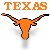 Pixelated orange text 'TEXAS' above a longhorn silhouette with outstretched horns on a light background.