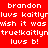 Red background with white pixelated text repeating 'brandon', 'luvs kaitlyr', 'wish it was true!', and 'luvs b!' in a pattern