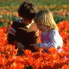Two children sit in a field of red flowers, sharing a moment with overlaid text about kindergarten memories and feeling like they've known each other forever.
