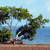 Pixelated beach scene with two leaning trees, blue sky, and ocean background on brown sand.
