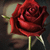 A pixelated red rose with green stem and leaves against a dark background, rendered in low-resolution digital art style.