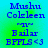 Blue text on a gradient background with four identical showing 'Mushu Colleen ~n~ Bailar BPFLS <3' in pixelated font