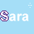 Pixelated text 'Sara Sara' repeated in two on a light blue background with small white dot clusters