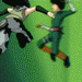 Animated sequence of two anime characters in combat poses against green background, one in green outfit with orange accents, the other in gray armor with white mask.