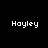 Four display the word 'Hoyley' in white pixelated text against black, gray, white, and dark gray backgrounds