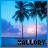 A static image of palm trees against a sunset sky with the text 'HALLORY' at the bottom.