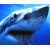 iconator.com - buddy icons - aim icons - away messages - AIM instant messenger