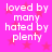 Pixelated text on a pink background with red stars, repeating 'loved by many hated by plenty' in white block letters.