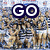 Animated sequence showing text 'GO THE CATS' over a crowd scene and a shield logo with 'CATS' text.