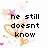 Pixelated icon with pink and orange floral elements, two text sections reading 'he still doesnt know' and 'how much i like him', and a small '<3' symbol on white background.