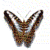 buddysite-05951