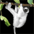 Animals icons for AIM, MSN, MySpace and Yahoo