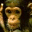 Pixelated monkey face on left, red background with yellow pixel-art text 'Monkeys Should Rule the World!!!' on right.
