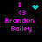 Pixel art display of four identical with pink text and cyan symbols on black background, showing animation variations in the symbol above 'Brandon Bailey'