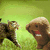 Animated sequence showing a cartoon character with brown hair and red mouth opening wide, next to a smaller figure in motion against green background.