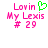 Pixelated text and symbols in pink and green on white background, with a green heart symbol above 'Lavin' that is absent in the second view.