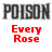 A static image displays the word "POISON" in large gray letters at top left, with red text reading "Every Rose Has It's Thorn" below it.