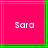 Static image with bright pink background, green and brown lines, and white pixelated text reading 'Sara' centered in the middle
