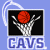 Pixelated icon shows a skeletal hand holding a red basketball against black background with blue border and 'GAINS' text below.