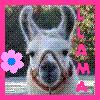 Pixelated image of a llama with a pink flower on the left and vertical pink text on the right, framed by a pink border.