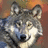 A four- with a wolf image and text fragments: 'And I'm' top-right, 'Hungry Like The Wolf' bottom-left on dark background