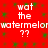 Red background with green seed-like patterns and repeated white text reading "wat the watermelon ??" in a