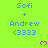 Bright green background with blue text reading "Sofi + Andrew <3333" and pink heart symbols in a