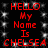 Red pixelated text on black background with white star-like speckles, repeating 'HELLO My Name Is CHELSEA' in two vertical