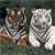 Animals icons for AIM, MSN, MySpace and Yahoo