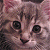 A pixelated cat face on the left side of a contact sheet next to green text reading "Original Icons .com" on a dark green background.