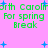 Pixelated green text on pink background with blue starbursts, repeating 'North Carolina For spring Break' in two