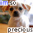 Animated contact sheet of a small dog icon with changing text and color variations across 14 frames, displayed in a 4x4 grid on a gray background.