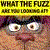 A split-screen image with a yellow banner reading 'KICK THE FUZZ' above a cartoon character's face on the left, and an orange circular graphic labeled 'Avenue' on the right.