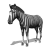 A grayscale zebra animation showing sequential head turns from left to right